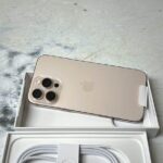 Apple iPhone 16 Pro Max photo review